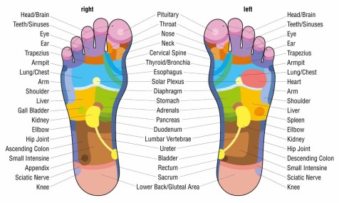 foot-reflex-chart2